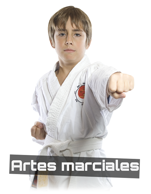 Artes marciales en Palencia
